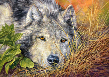 CASTORLAND 500 Piece Jigsaw Puzzle  Pure Soul  Animal Puzzle  Wolf  Nature Puzzle  mature-themed Puzzles  Castorland B-53285