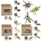 Montessori Life Cycle Animal Figures With Flash Cards, Realistic Animal Figurines Toy, And Educational Matching Game For Kids(Ma