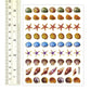 SHELL01 - 10 Sheets Shell and Starfish Decorative Scrapbook, Reflective Stickers for Kids - Size 4 X 5.25 Inch./sheet by Sticker