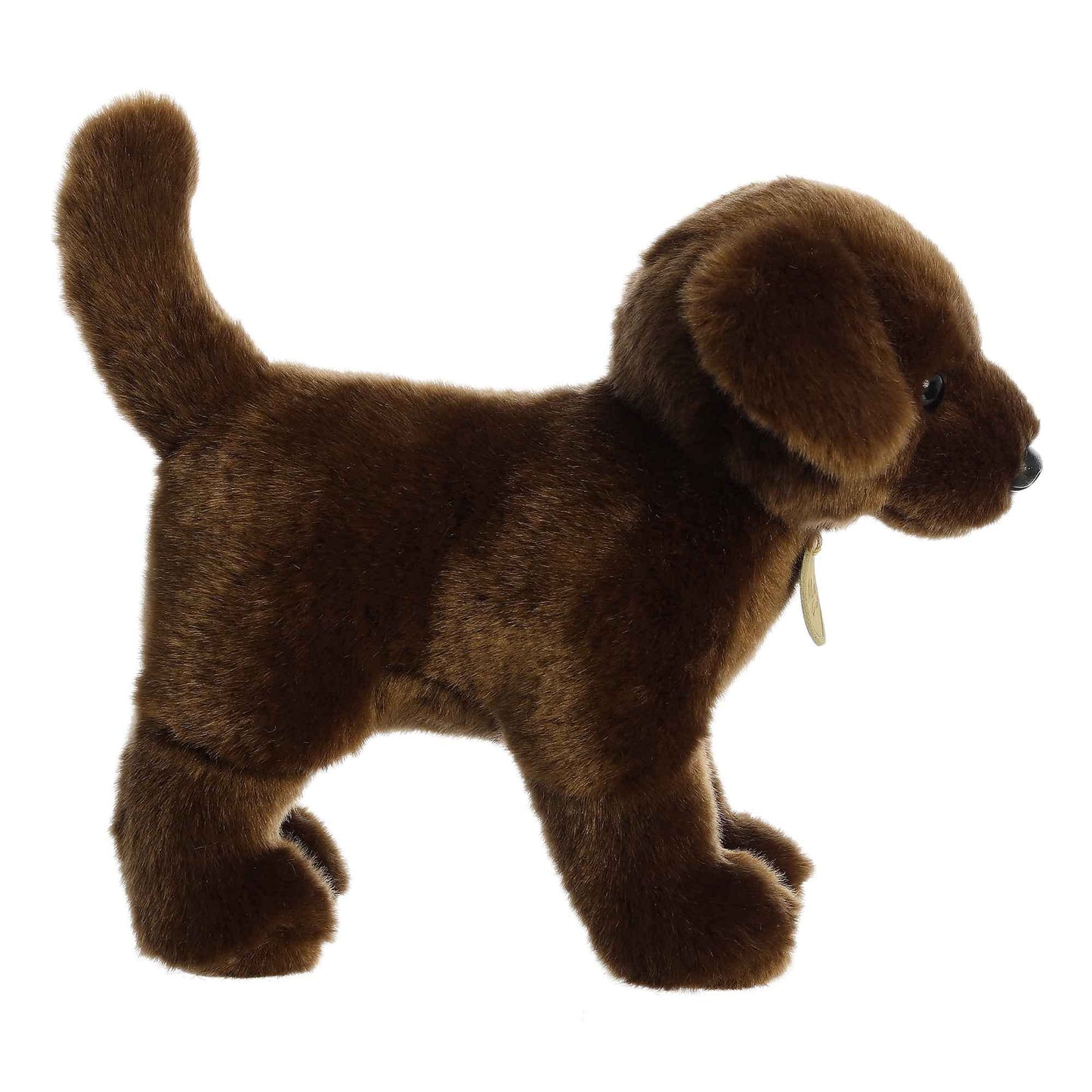 PBS Aurora, Chocolate Labrador 10 Plush