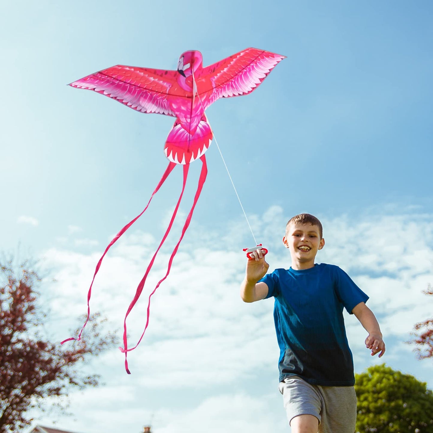 Mint'S Colorful Life Pink Kite For Kids Adults, Large Flamingo Bird Kite Easy To Fly Beach Kites