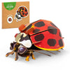 Makebug Early Educational Toys And Games, Eco-Friendly Stem Activities And 3D Paper Puzzles For Autistic Kids-Ladybug (Ages 7 An