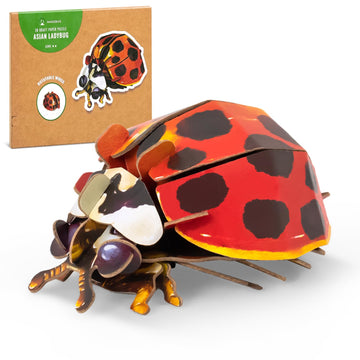 Makebug Early Educational Toys And Games, Eco-Friendly Stem Activities And 3D Paper Puzzles For Autistic Kids-Ladybug (Ages 7 An