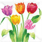 Amscan Bright Tulips Square Plate, 10, Multicolor