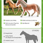 DuDuMo Horse Stable Playset with 3 Horses & 2 Riders, Plastic Farm Animal Toys for Kids, Green Color, Ages 3+