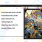 Stained Glass Flower Puzzles for Adults 1000 Pieces, Fit Together Perfectly, No Dust, Art Floral Jigsaw Puzzles 1000 Pieces, Cha