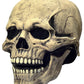 LEKA NEIL Skull Mask - Skull Mask with Movable Chin is suitable for youth or adults over 18 years old.