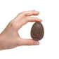Class Collections Surprise Growing Dragon And Dinosaur Hatch Egg Kids Novelty Toy - Pack Of 4, Brown