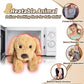 Cuckool Golden Retriever Stuffed Animals, Microwavable Stuffed Animals Heating Pad For Cramps, Pain Stress Relief, Heatable Cool