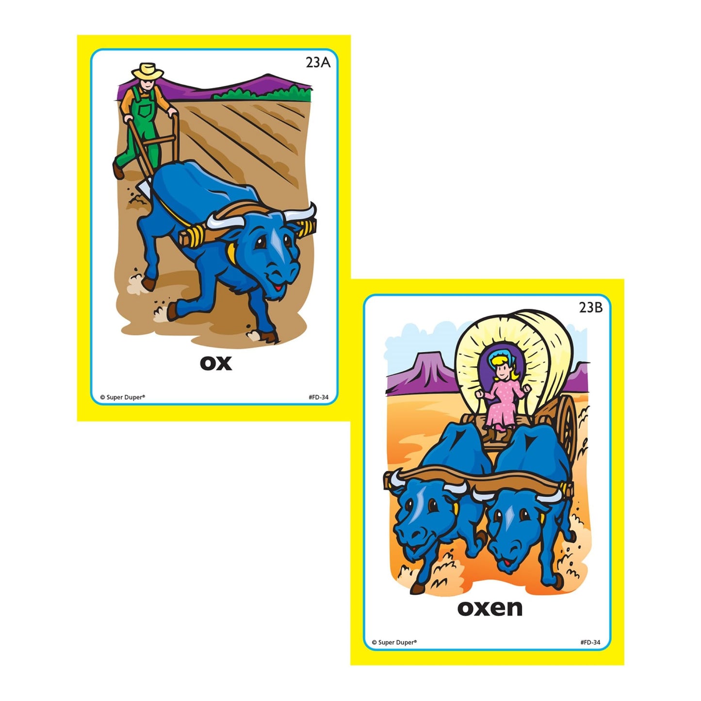 Super Duper Publications | Irregular Plurals Fun Deck Flash Cards | Educational Learning Resource for Children