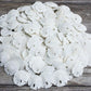 Real Sand Dollars Under 1 (200 Pack) - Sand Dollar Wall Art & Ornament Set - Beach Wedding Decor - Nautical Party Table Decor -