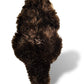 Wild Republic Sea Otter Plush, Stuffed Animal, Plush Toy, Gifts For Kids, Cuddlekins 8 Inches
