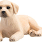 Mojo Yellow Labrador Puppy Realistic Domesticated Animal Hand Painted Toy Figurine