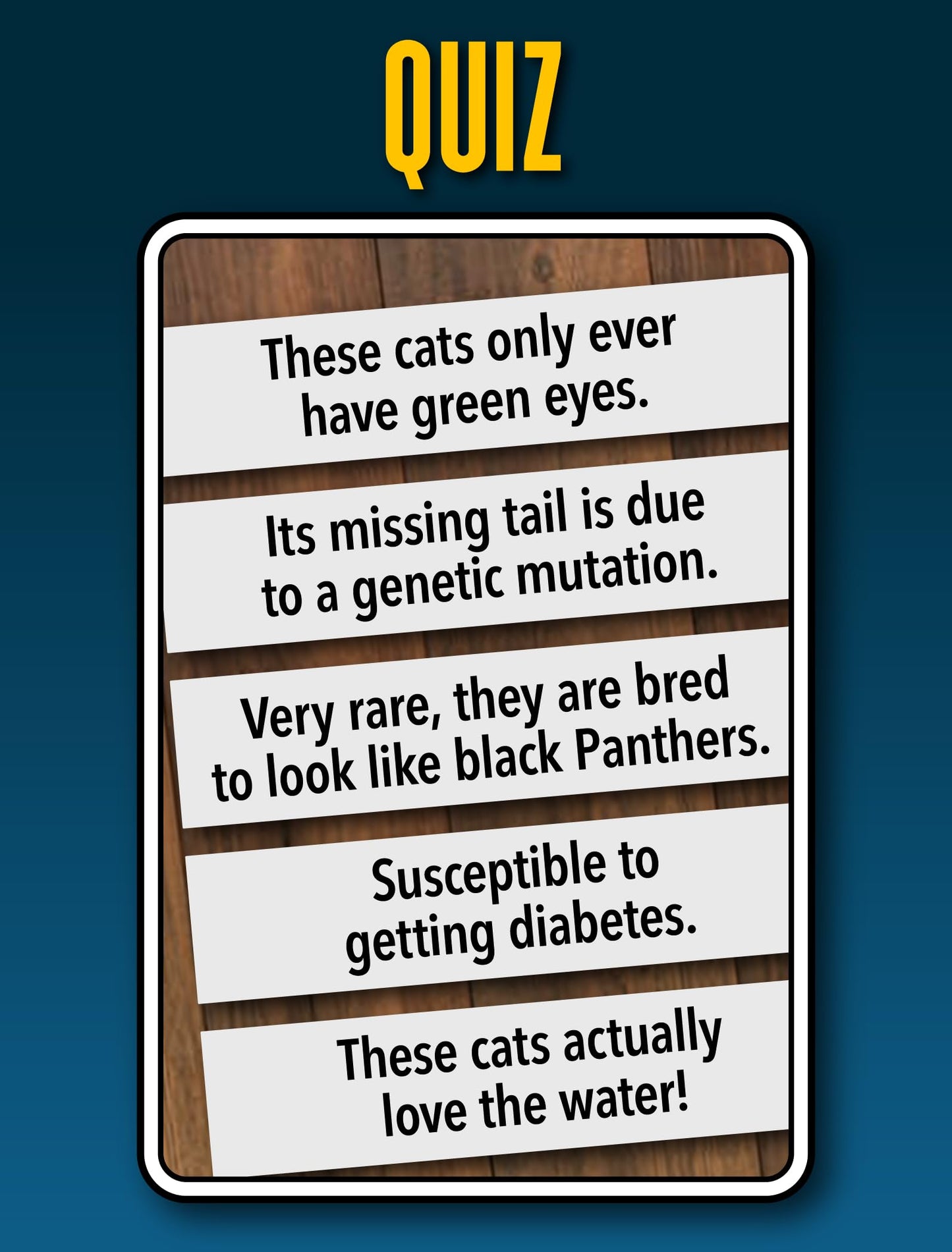 SMART CARDS Cats Card Games - Matching Pairs, Snap, Trumps, Rummy, Happy Families (8 Games To Play) | Age 5+, 1-8 Players | Fun