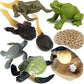 Gemini&Genius Life Cycle of Frog and Sea Turtle Toys, Insect Growth Diary Action Figures, Super Fun for Learning Gifts, Party Fa