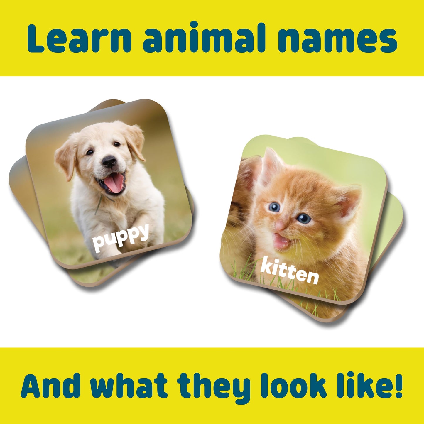 Chuckle & Roar - Matching Game Baby Animals - Board Game For Kids 3 And Up - Concentration Skill Development For Toddlers - Ages 3 And Up