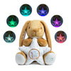 Kids Preferred Guess How Much I Love You - Nutbrown Hare Rabbit Stuffed Animal With Multicolor Soothing Lights And Musical Star Plays Twinkle Twinkle Little Star,