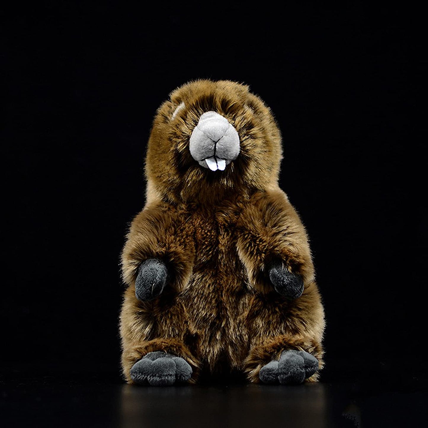 Zhongxin Made Simulation Groundhog Plush Toy - Cute Real Life Greedy Groundhog Simulation Plush Toys, Lifelike Wild Animals Prai