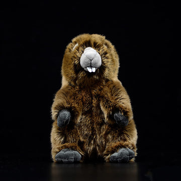 Zhongxin Made Simulation Groundhog Plush Toy - Cute Real Life Greedy Groundhog Simulation Plush Toys, Lifelike Wild Animals Prai