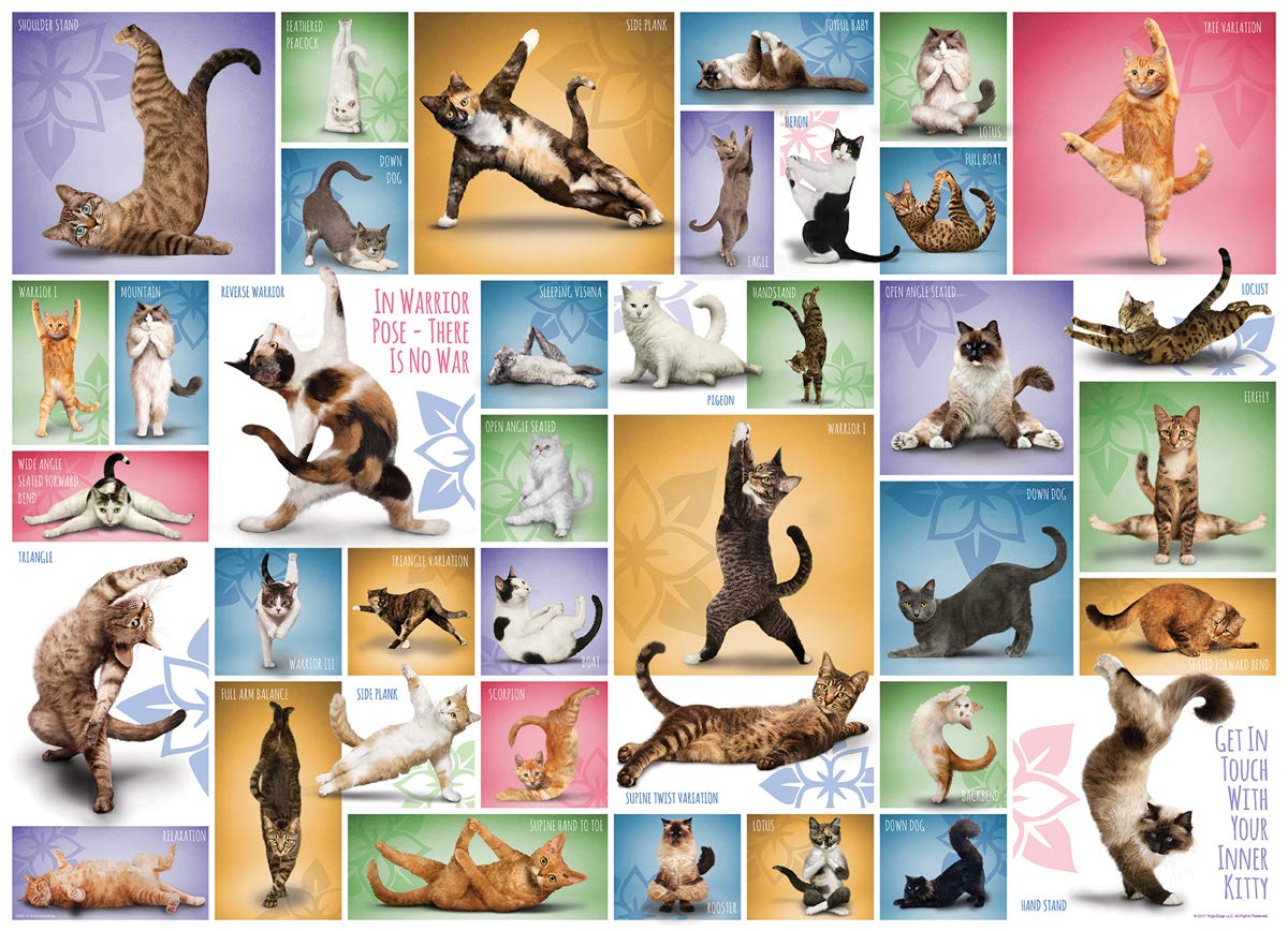 Yoga Cats 1000-Piece Puzzle
