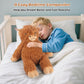 Bobbie & Laxi Highland Cow Weighted Stuffed Animal, 22" Plush Toy, Brown, Adjustable Sitting & Laying, Soft Gift for All Ages