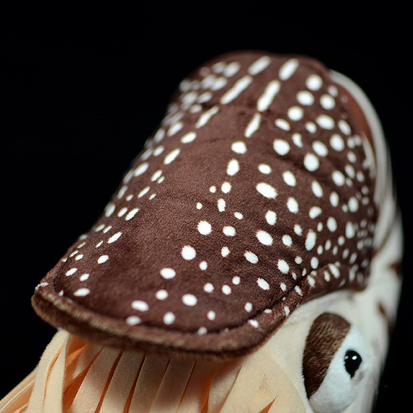 ZHONGXIN MADE Nautilus Plush Toy - 8 Inch Soft Sea Life Stuffed Animal, Brown, Lifelike Design, Perfect Gift for Kids