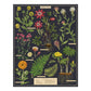CAVANILLI & CO. Herbarium 1,000 Piece Puzzle, Multi Color, Paperboard Material, Model PZL/HERBARIUM