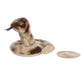 Aurora® Adorable Shoulderkins™ Slithers Snake™ Stuffed Animal - On-The-Go Fun - Interactive Play - Green 6 Inches