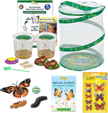 Insect Lore Butterfly Garden As Seen On Tv | Butterfly Kit With Live Caterpillars | 10 Live Baby Caterpillars, Reusable Habitat,