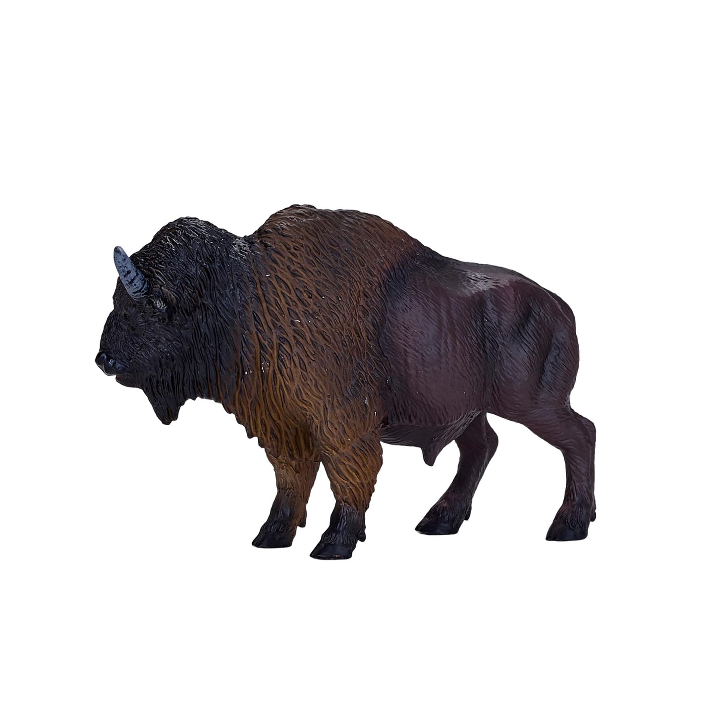 Mojo American Bison/Buffalo