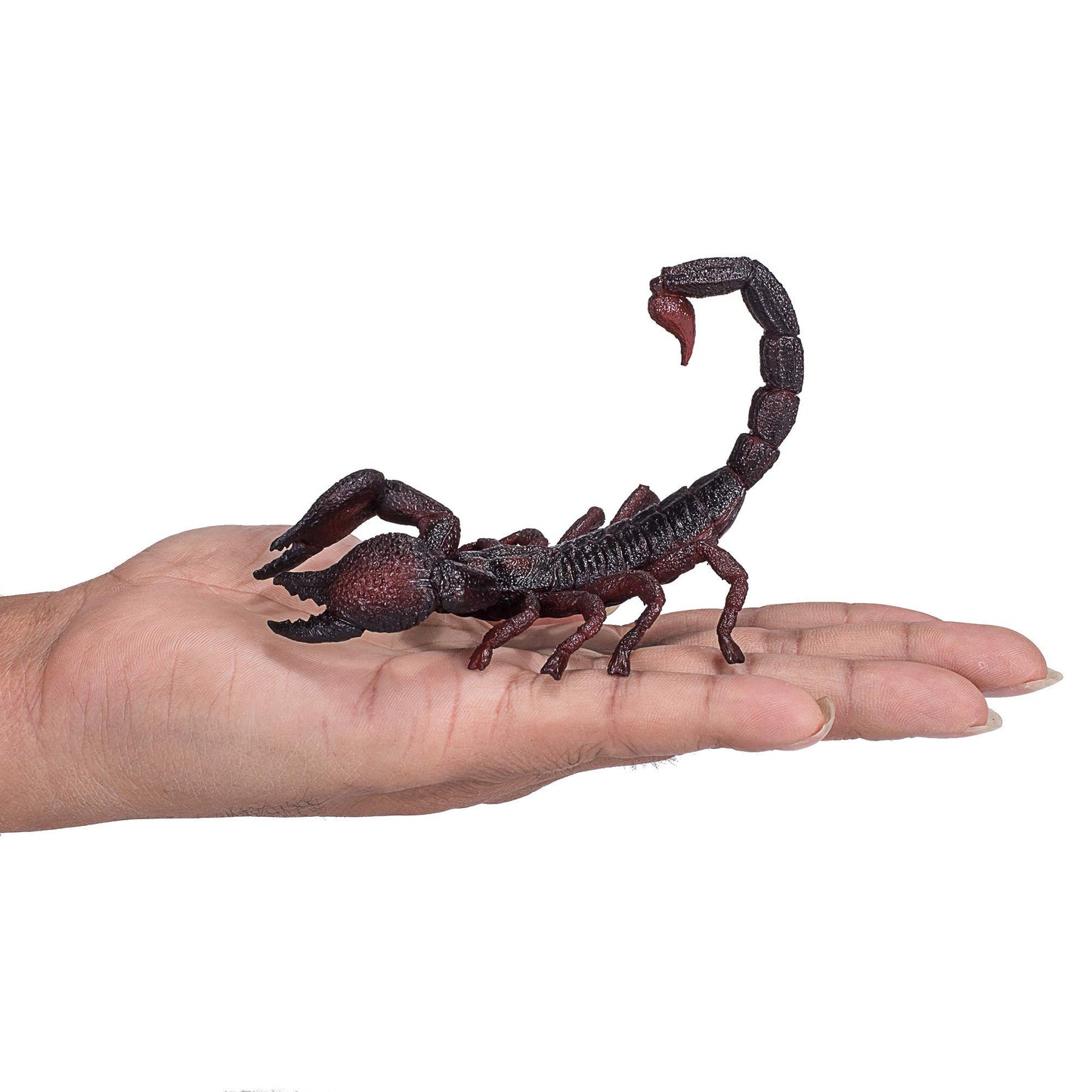Mojo Emperor Scorpion Realistic International Wildlife Hand Painted Toy Figurine