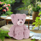 Apricot Lamb Toys Plush Pink Purple Flower Teddy Bear Stuffed Animal Soft Cuddly Perfect For Child 7.9 Inches