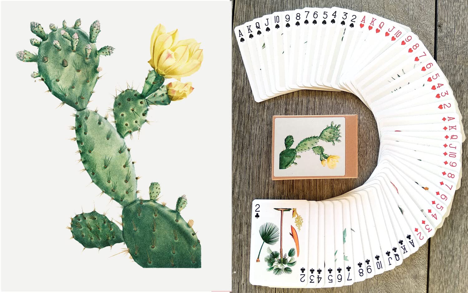 FLONZGIFT Cactus and Succulents Playing Cards (Poker Deck 54 Cards All Different) Vintage Antique Botannical Books Illustration 