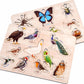 Countrylink Wooden Birds & Insects Puzzle Set Of 2  Montessori Educational Toy For Toddlers | 3D Peg Puzzle For Kids Age 3+ | C