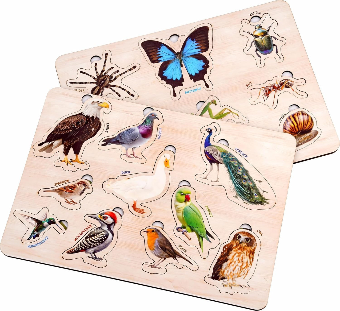 Countrylink Wooden Birds & Insects Puzzle Set Of 2  Montessori Educational Toy For Toddlers | 3D Peg Puzzle For Kids Age 3+ | C