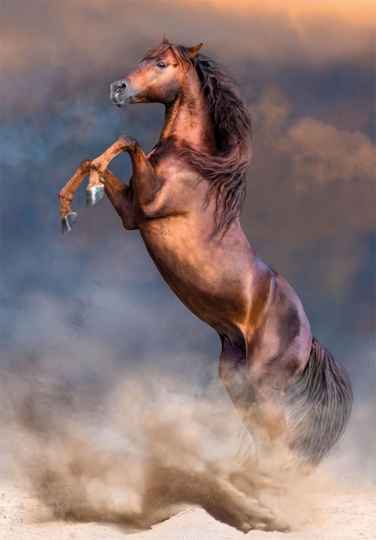 Clementoni Collection-Wild Red Stallion-500 Pieces-Puzzle  Vertical  Fun for mature-themeds  Made in Italy  Multicoloured  35521