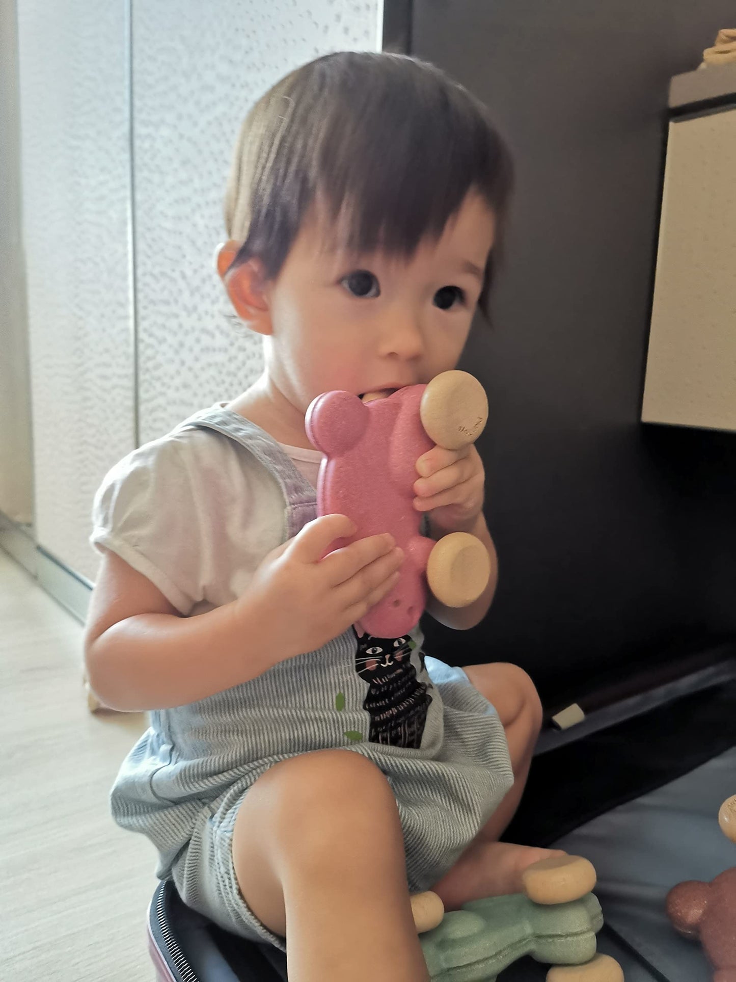 PlanToys Push Along Bunny-Pink (5730)