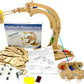 Pathfinders STEM Kit - Hydraulic Robotic Arm | Wooden Building Kit for Kids Ages 8-12 | Mechanical Engineering Toy | Hands-On ST