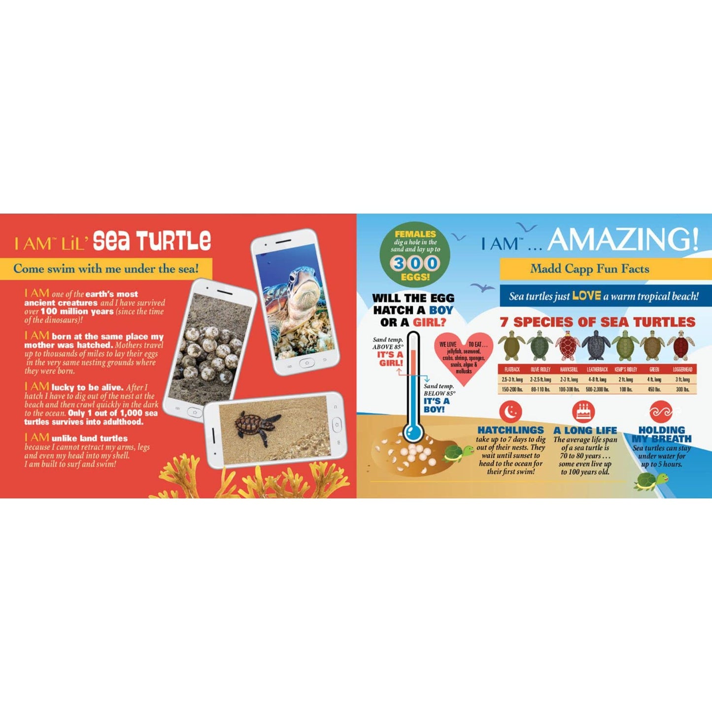 Madd Capp Lil' Sea Turtle 100 Piece Jigsaw Puzzle For Ages 5+ - 4007 - Unique Animal-Shaped Border, Poster Size When Completed,
