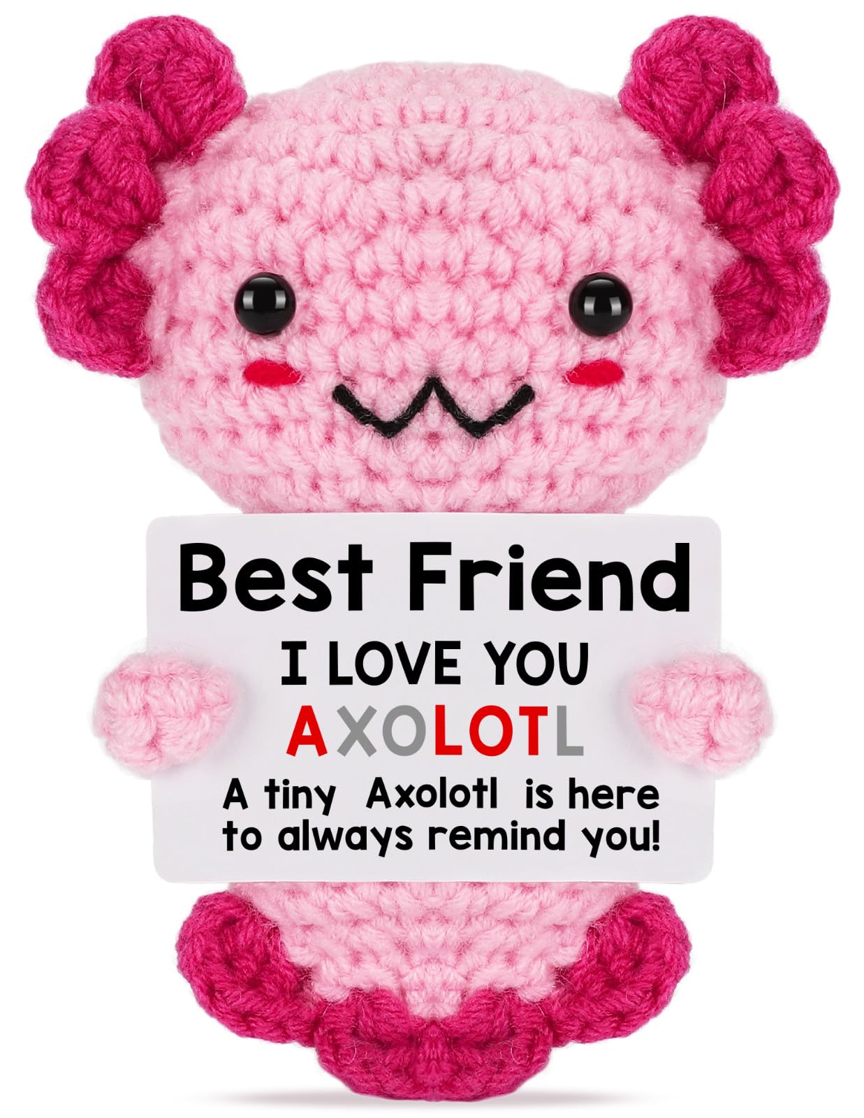 Weming Friendship Gift Crochet Axolotl  Tiny Handmade Collectible Doll for Sisters  Coworker Work Bestie  Funny Present for Birthday  Valentines  Christmas