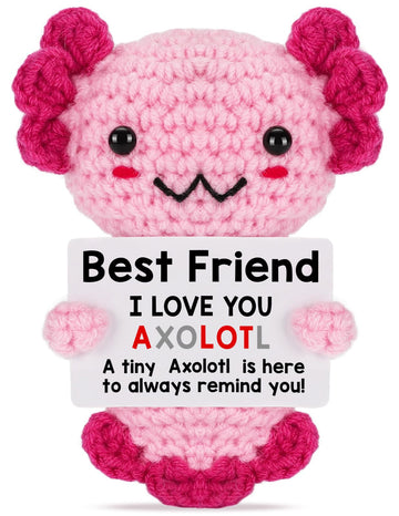 Weming Friendship Gift Crochet Axolotl  Tiny Handmade Collectible Doll for Sisters  Coworker Work Bestie  Funny Present for Birthday  Valentines  Christmas