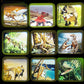 3D View Toy For Kids, Classic Discovery Animal Dinosaur Viewer Set Viewfinder With 4 Reels (Navy)
