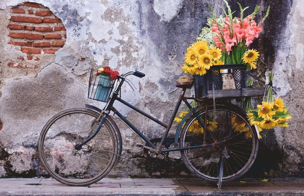 Ravensburger Puzzle Moment: Bicycle | 200-Piece Premium Jigsaw Puzzle For Adults And Kids | Unique Softclick Technology Ensures Vibrant, Matte Finish With Long-Lasting Quality
