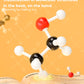 Molecular Model Kit-240 Pcs,Chemistry Molecular Visual Modeling Kit For Organic&Inorganic Learning,Atomic Element Model Set For