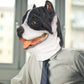 PartyHop Pitbull Dog Mask Animal Latex Full Head Mask Fancy Dress for Halloween Costume Party
