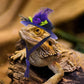 Comimag 6 Pieces Chicken Hats For Hens Fit Chicken Clothes Costumes For Chickens Hats For Chickens Bearded Dragon Costume Tiny H