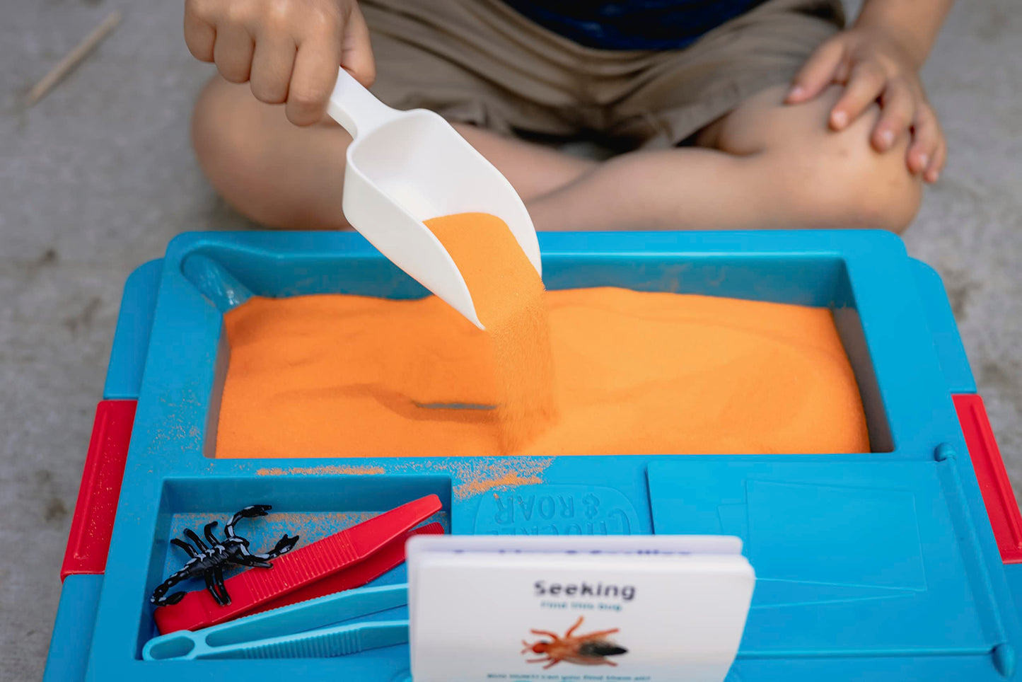 Chuckle & Roar Sensory Bin - Tactile Learning Activity Set for Toddlers, Medium Size, Multicolor, Plastic, Model 62300-2