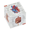 Human Anatomy Study Cube | Study 9 Parts of The Human Body | Perfect Anatomy Revision Guide | Addictive Anatomy Model Cube | Gre