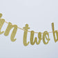 Born Two Be Wild Glitter Banner, Two Years Old Banner, 2nd Birthday Party Decor (Gold)