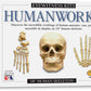 Skullduggery Eyewitness Kit Humanworks Casting Kit